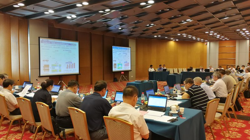 国内生产线改造，龙头公司引领产业升级之路